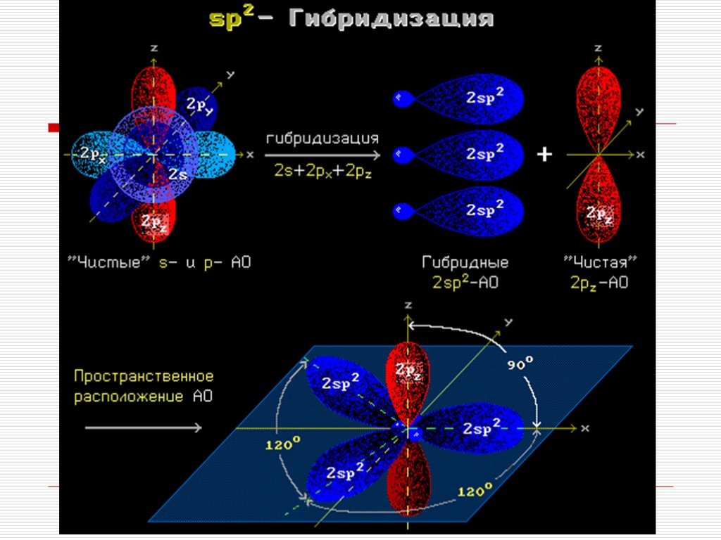 Sp гибридизация связи. Sp2 гибридные орбитали углерода. Sp2- гибридизация в молекуле. SP sp2 sp3 гибридизация. SP гибридные орбитали.