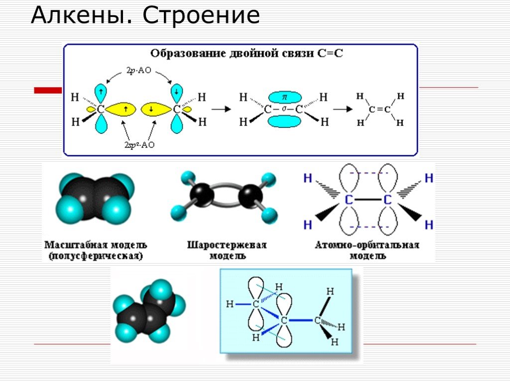 Молекулах есть двойная связь. Алкены химическое строение. Строение молекулы алкенов на примере этилена. Строение молекулы алкенов. Пространственное строение алкенов.