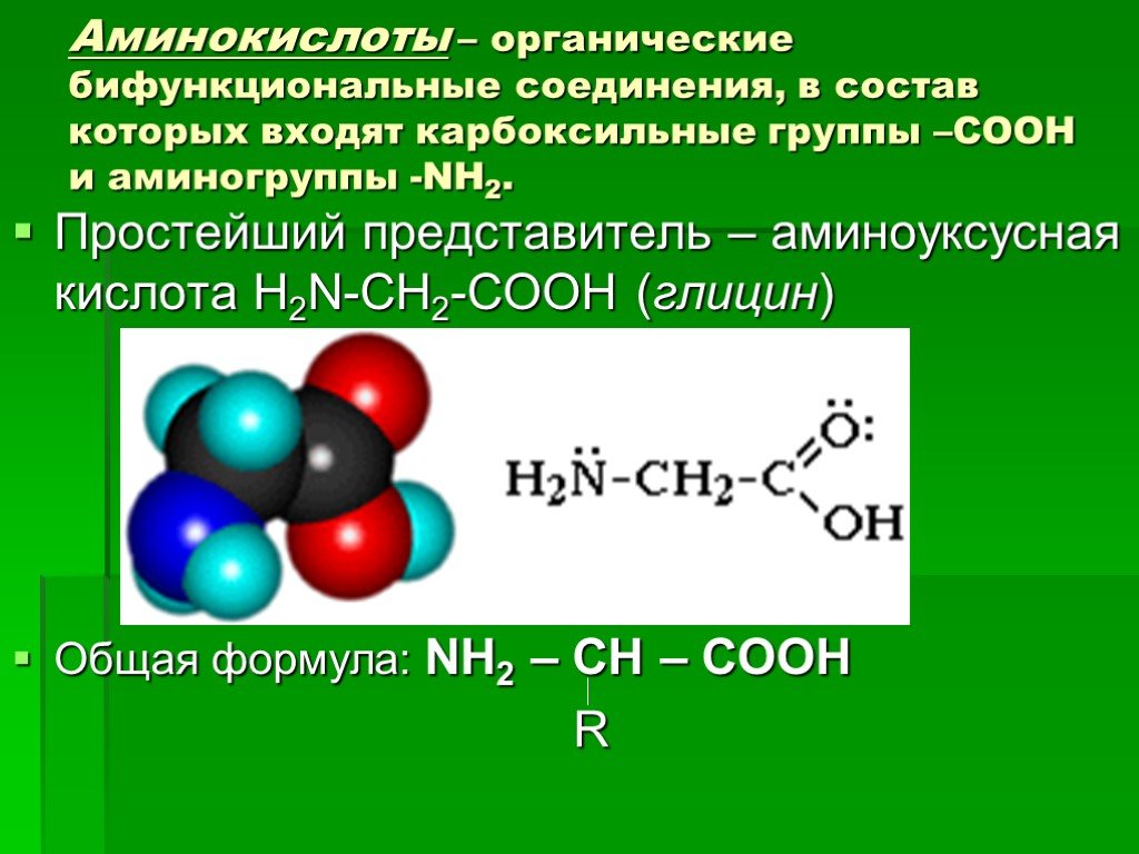 Соединения в состав которых входит функциональная группа. Глицин аминоуксусная кислота формула. Аминоуксусная кислота формула. А иноуксусная кислота формула. Простейший представитель аминокислот.