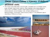 Озеро Сасык-Сиваш в Крыму. О добыче розовой соли. Это озеро очень популярно как источник розовой соли и лечебной грязи, ради которой сюда и едут туристы. Еще в древние века люди добывали здесь соль. А начиная с 15 века, озера Крыма вместе с Сасык-Сиваш использовались как источники соли, которая добы