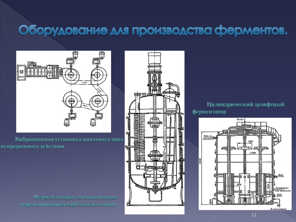 Схема производства ферментов