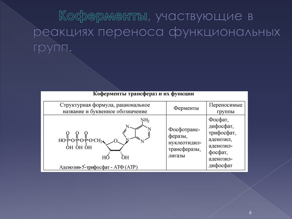 Презентация по теме ферменты