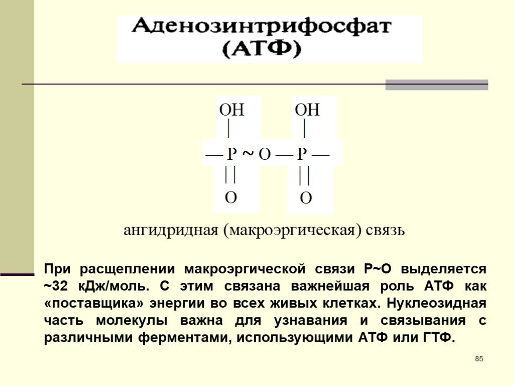 Макроэргические связи в молекуле атф. Макроэргические связи в АТФ. Макроэргическое соединение АТФ. Макроэнергетические связи.