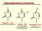 Пиримидиновые основания. Урацил Ura (2,4-диоксопиримидин). Тимин Thy (5-метил-2,4-диоксопиримидин, 5-метилурацил. Цитозин Cyt (4-амино-2-оксопиримидин)