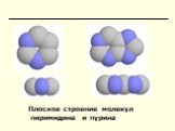 Плоское строение молекул пиримидина и пурина