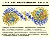 Структура тетрануклеосомы, определенная командой Тима Ричмонда, показывает, что две нуклеосомы, сложенные одна в другую, соединены с двумя другими нуклеосомами, расположенными напротив, посредством прямой нити ДНК. Эти две кипы соответственно сложены в противоположном направлении.