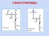 СФИНГОЛИПИДЫ Сфингозин. Сфингозин-1-фосфат