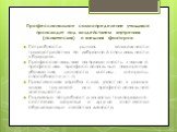 Потребности рынка, возможности трудоустройства по избранной специальности в будущем. Профессиональная направленность: знания о профессиях, профессиональные намерения, убеждения, ценности, мотивы, интересы, способности и т. п. Практическая «проба сил»: участие в разных видах трудовой или профессионал