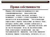 Права собственности. Права собственности понимаются как санкционированные поведенческие отношения между людьми, которые возникают в связи с существованием благ и касаются их использования. Эти отношения определяют нормы поведения по поводу благ, которые любое лицо должно соблюдать в своих взаимодейс