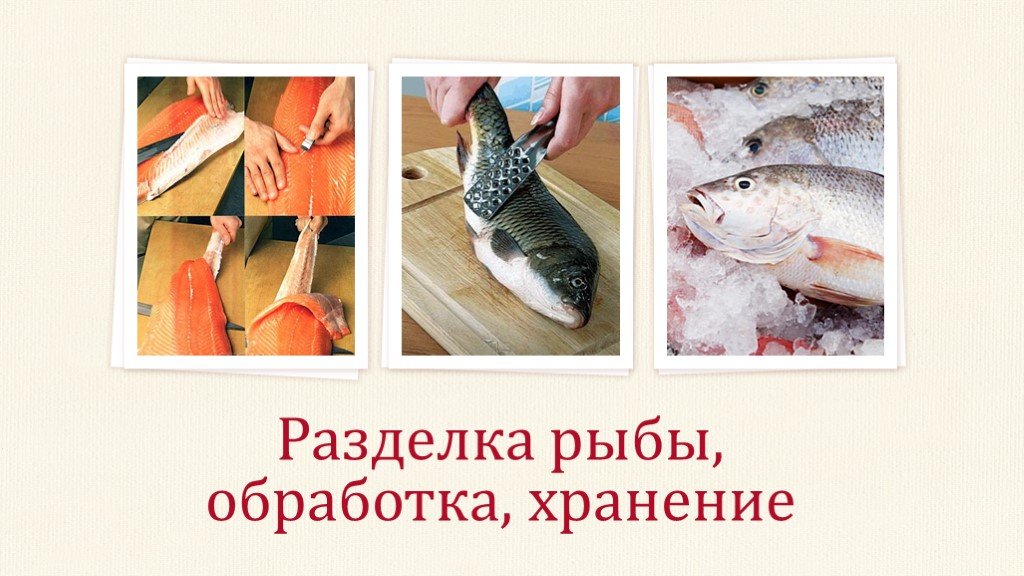 Обработка рыбы 7 класс