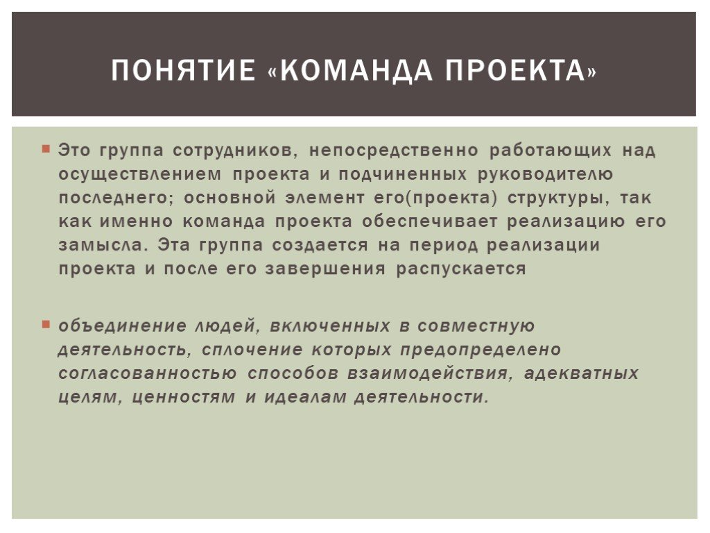 Группа специалистов непосредственно работающих над реализацией проекта