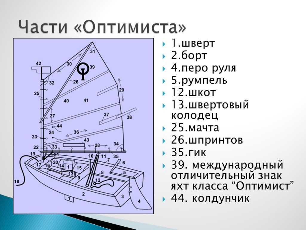 Где находится оптимист. Строение яхты парусной оптимист. Строение швертбота оптимист. Оптимист швертбот Парус чертеж. Строение яхты класса оптимист.