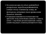 Его осенила идея, что «тип руководит развитием, зародыш развивается, следуя тому основному плану, по которому устроено тело организмов данного класса». В зародыше появляются сначала простые признаки типа, затем более сложные — класса, затем — еще более детализирующие: отряда, семейства, рода и, нако