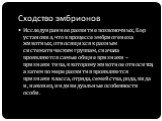 Сходство эмбрионов. Исследуя раннее развитие позвоночных, Бэр установил, что в процессе эмбриогенеза животных, относящихся к разным систематическим группам, сначала проявляются самые общие признаки – признаки типа, к которому животное относится, а затем по мере развития проявляются признаки класса, 