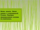 Ветви власти. Ветви власти в современной России. Порядок формирования состава их участников.