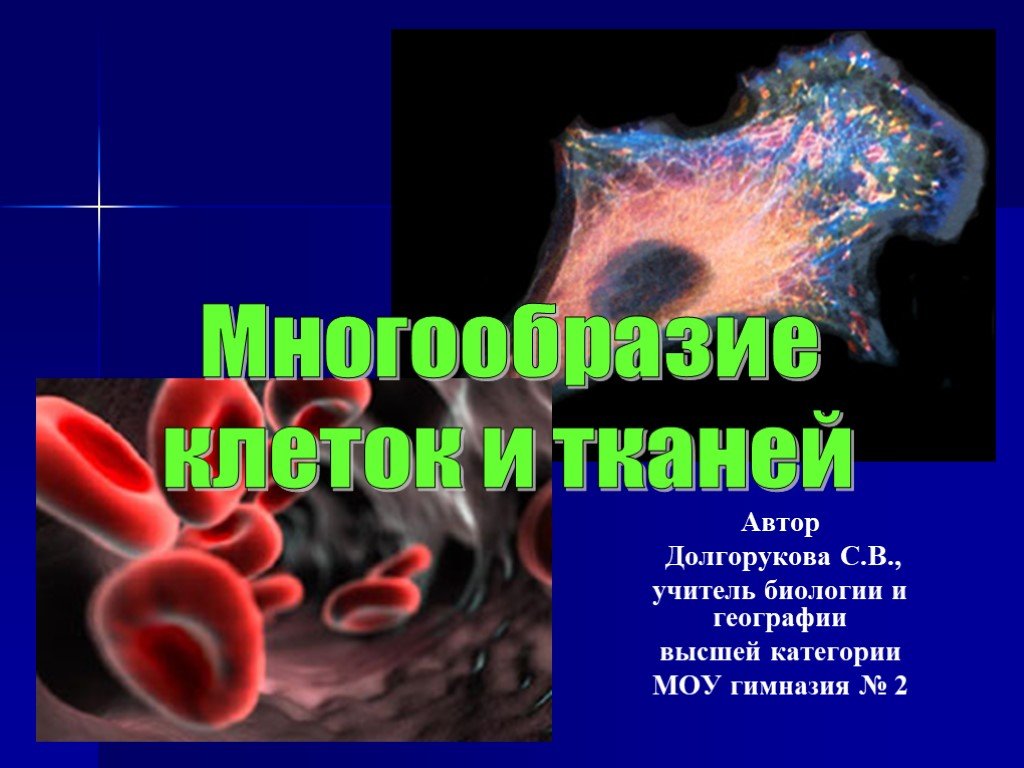 Разнообразием 2. Многообразие клеток. Человек в многообразии клеток фото.