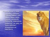 Главный враг у льва - человек с ружьем. Опасны бывают для львов также стада слонов, носороги, бегемоты, вышедшие размяться на сушу, но львы избегают попадаться им навстречу.