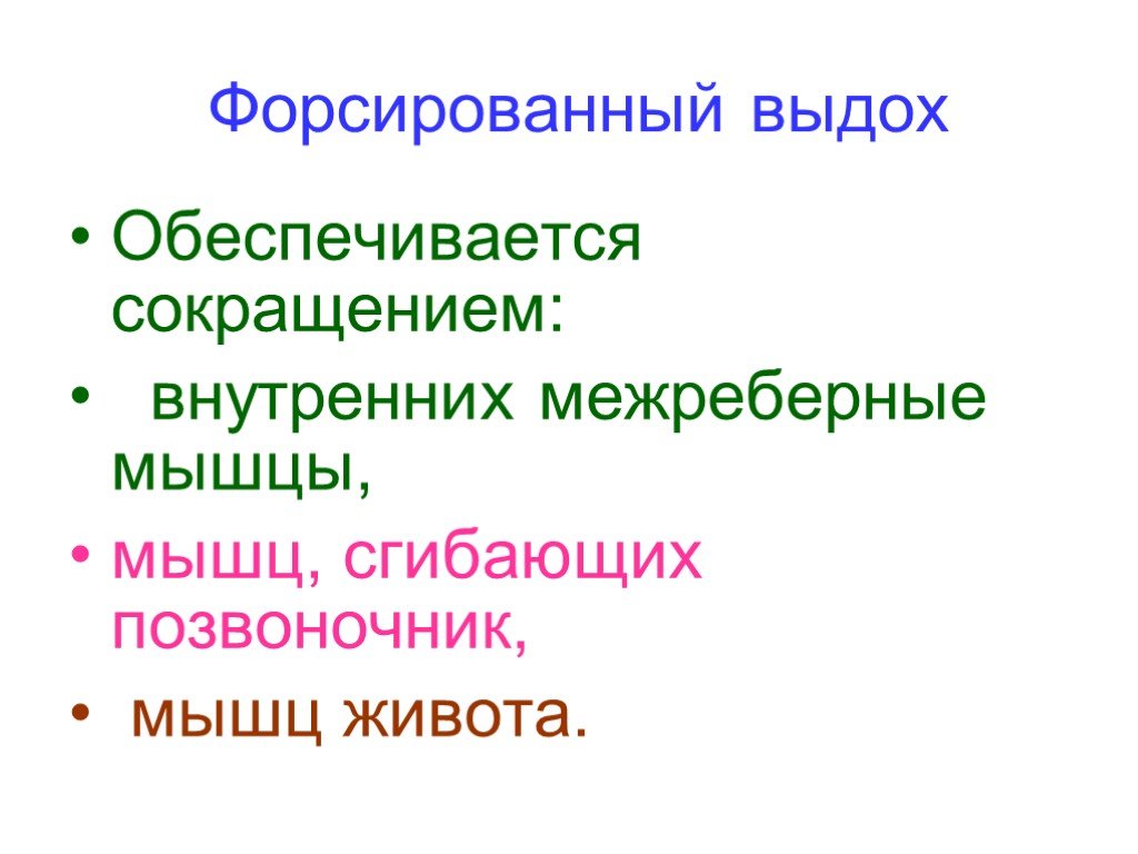 Сокращение внутренней. Форсированный выдох. Форсированное дыхание. Мышцы форсированного дыхания. При форсированном выдохе.