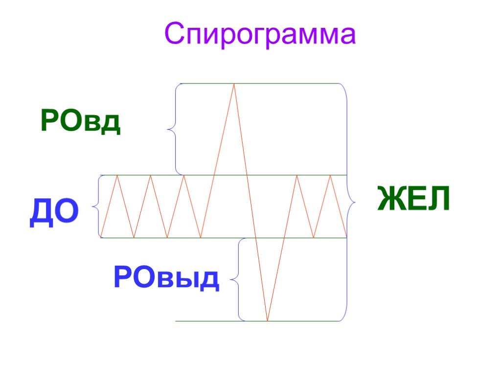 Жел ровд. Спирограмме до, РОВД, РОВЫД,. Жел на спирограмме. Спирограмма физиология. Спирограмма.