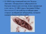В 1868 году немецкий патолог Теодор Лангханс обнаружил в туберкулёзном бугорке гигантские клетки, позже названные в его честь. В 1882 году в Германии Роберт Кох после 17 лет работы в лаборатории открыл возбудителя туберкулёза, которого назвали бациллой Коха (БК).