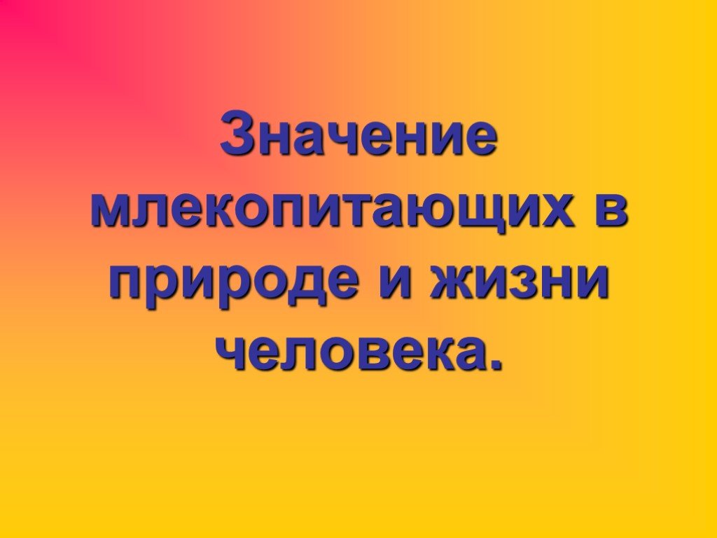 Значение млекопитающих в природе и в жизни человека презентация