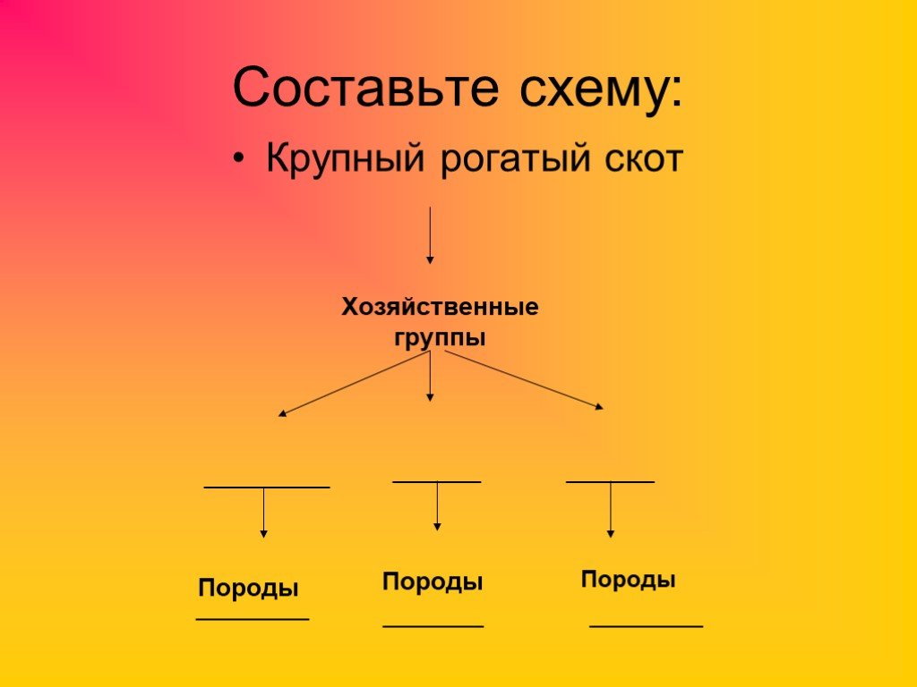 Заполните схему крупный рогатый скот