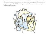 По каким сосудам и какая кровь поступает в камеры сердца, обозначенные на рисунке цифрами 3 и 5? С каким кругом кровообращения связана каждая из этих структур сердца?