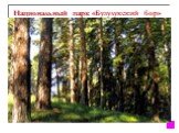Национальный парк «Бузулукский бор». Создан 29 декабря 2007 г. расположен на территории Самарской и Оренбургской областей. Площадь свыше 106 тыс. гектаров. Произрастают 13 видов редких видов растений, включенных в Красные книги России и Оренбургской области. Уникальное сочетание лесных, степных, луг