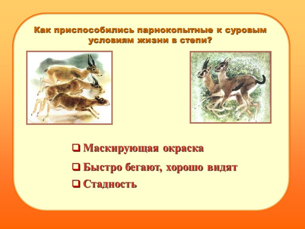 Как животные приспособились к жизни в степях. Как животные приспособились к жизни в степи. Как приспособились животные в степи. Как животные степей приспособились к условиям жизни. Приспособления животных в степи.