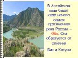 В Алтайском крае берет свое начало самая протяженная река России – Обь. Она образуется от слияния Бии и Катуни