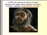 в 2008 году археологи нашли останки неизвестного ранее вида древнего человека, которого назвали «денисовский человек»