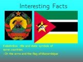 Interesting Facts. Kalashnikov rifle and state symbols of some countries: - On the arms and the flag of Mozambique