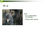 W w Wolf. It is a wild animal. It is strong. It lives in the forest