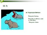 H h hippopotamus They are funny. They live in Africa and in the Zoo. They are fatю