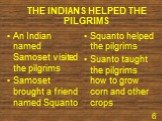 THE INDIANS HELPED THE PILGRIMS. An Indian named Samoset visited the pilgrims Samoset brought a friend named Squanto. Squanto helped the pilgrims Suanto taught the pilgrims how to grow corn and other crops