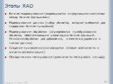 Этапы RAD. Бизнес-моделирование (моделируются информационные потоки между бизнес-функциями) Моделирование данных (набор объектов, которые требуются для поддержки бизнес-процессов) Моделирование обработки (определяются преобразования объектов, обеспечивающие реализацию бизнес-функций. Описание обрабо