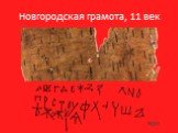 Новгородская грамота, 11 век