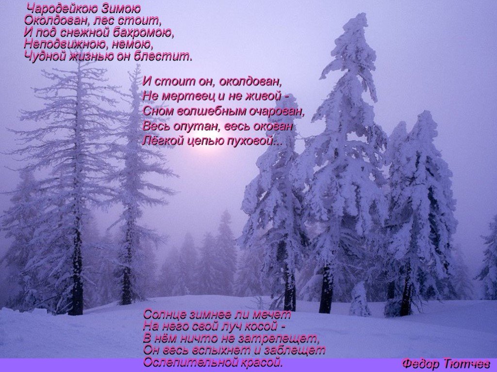 Зимнее стихотворение отрывки. Тютчев Чародейкою зимой. Зимние стихи. Стихотворение про зимний лес. Стихи про зиму.