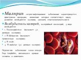 Малярия – острое инфекционное заболевание характеризуется приступами лихорадки, появление которых соответствует циклу развития возбудителя малярии, анемией, гепатоспленомегалией. Возбудитель малярий, малярийный плазмодий, 4 вида возбудителя: 1. Плазмодий-vivax (вызывает 3-х дневную малярию); 2. Pl f