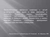 Воспалительные процессы глазницы у детей встречаются чаще всего в виде флегмоны и тенонита. Периостит, кариес, тромбофлебит, эмпиемы наблюдаются преимущественно у взрослых и пожилых людей. Периоститы и кариес нередко являются следствием врожденного сифилиса или костного туберкулеза. Глазные болезни: