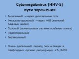 Сytomegalovirus (HHV-5) пути заражения. Аэрогенный – через дыхательные пути Фекально-оральный – через ЖКТ (эпителий слюнных желез) Половой (мочеполовая система особенно почки) Парентеральный Вертикальный Очень длительный период персистенции в лимфоидных органах репродукция в Т-, В-ЛФ