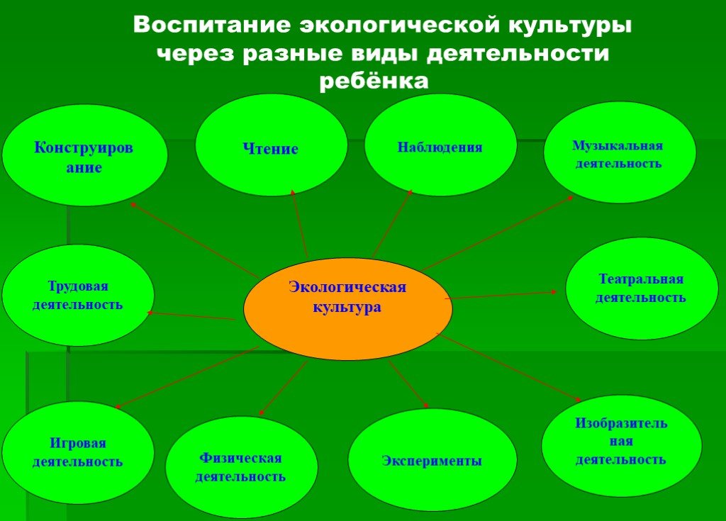 Проект на тему экологическое воспитание детей дошкольного возраста