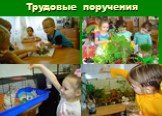 Трудовые поручения