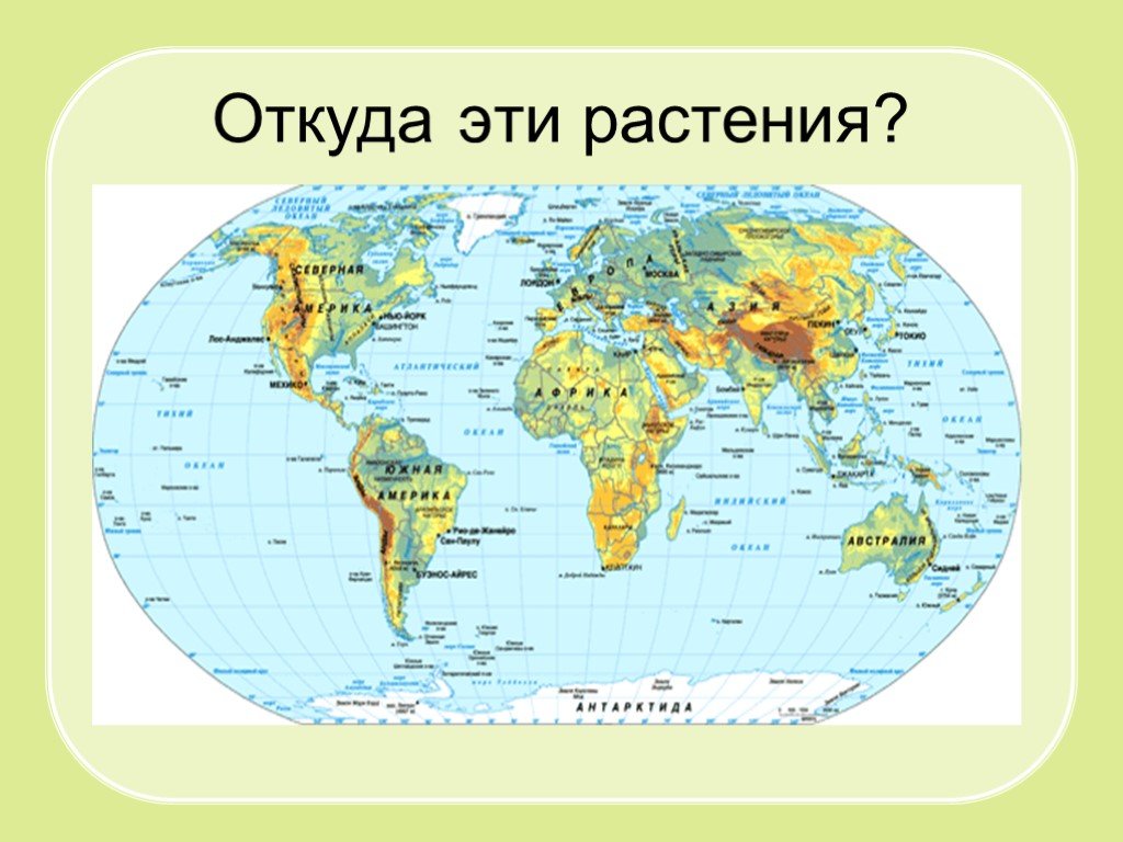 Какая карта называется физической. Карта земной поверхности. Географическая карта материков.