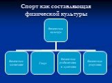 Спорт как составляющая физической культуры