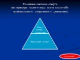 Условная система спорта (на примере одного вида или в масштабе национального спортивного движения)