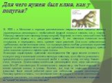 Для чего нужен был клюв, как у попугая? Благодаря характерным признакам исследователи без труда смогли отнести к этому же виду и маленькие скелеты молодых животных, хотя обычно установить принадлежность взрослой и молодой особи к одному и тому же виду бывает очень непросто. Длина самых маленьких дин