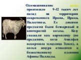 Одомашнивание козы произошло 9-12 тысяч лет назад на территории современного Ирана, Ирака, Палестины. Ее дикими предками были безоаровый и винторогий козлы. Козу уважали как кормилицу (по преданию, коза Амалфея вскормила младенца Зевса), а козья шкура относится к божественному одеянию Афины Паллады.