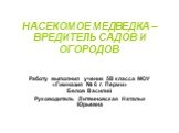 НАСЕКОМОЕ МЕДВЕДКА – ВРЕДИТЕЛЬ САДОВ И ОГОРОДОВ. Работу выполнил ученик 5В класса МОУ «Гимназия № 6 г. Перми» Белов Василий Руководитель Литвиновская Наталья Юрьевна