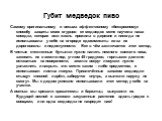 Губит медведок пиво. Самому оригинальному и весьма эффективному «бескровному» способу защиты моих огурцов от медведок меня научила наша соседка, которая всю жизнь прожила в деревне и никогда не использовала у себя на огороде ядохимикаты из-за их дороговизны и недоступности. Вот в чём заключается это